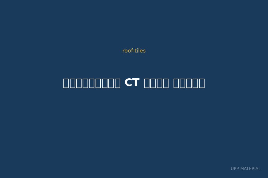 กระเบื้อง CT แกรน ออนดา