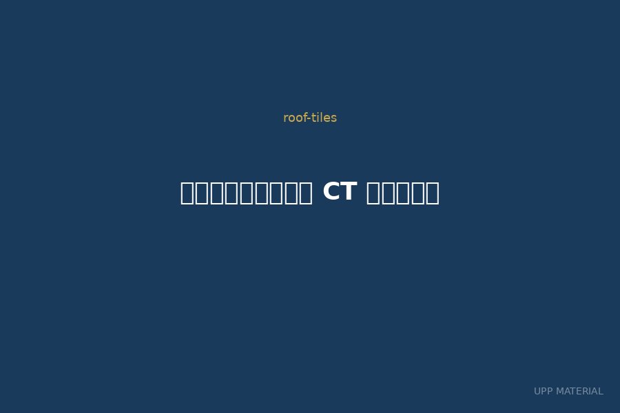 กระเบื้อง CT เวนิส